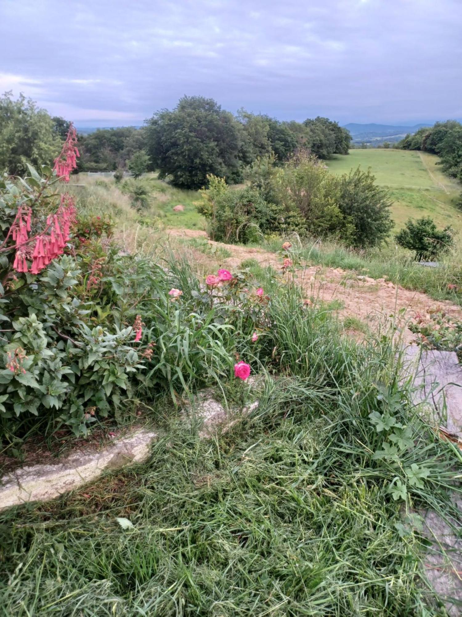 La Biste Mirepoix (Ariege)